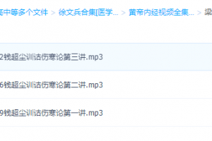 徐文兵合集[医学养生]梁冬对话钱超尘《训诂伤寒论》学习音频资料